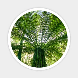 Tree Fern Magnet